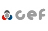 CEF 